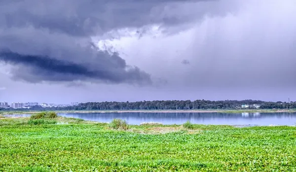 Featured Image of Bellandur Lake